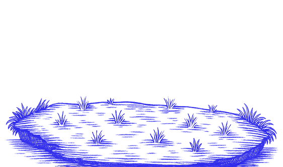 Фоновое изображение